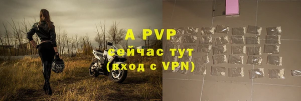 стаф Балахна