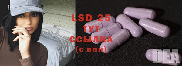 стаф Балахна