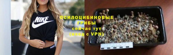 мдпв Балабаново