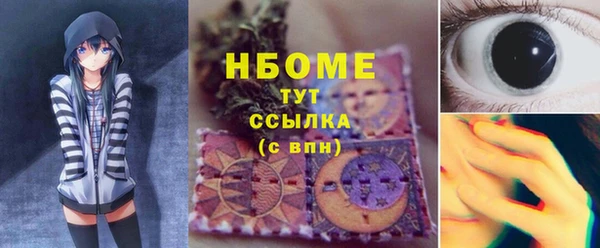 стаф Балахна