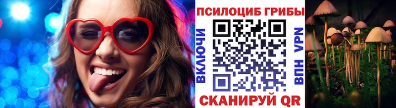 Псилоцибиновые грибы прущие грибы  Буй 